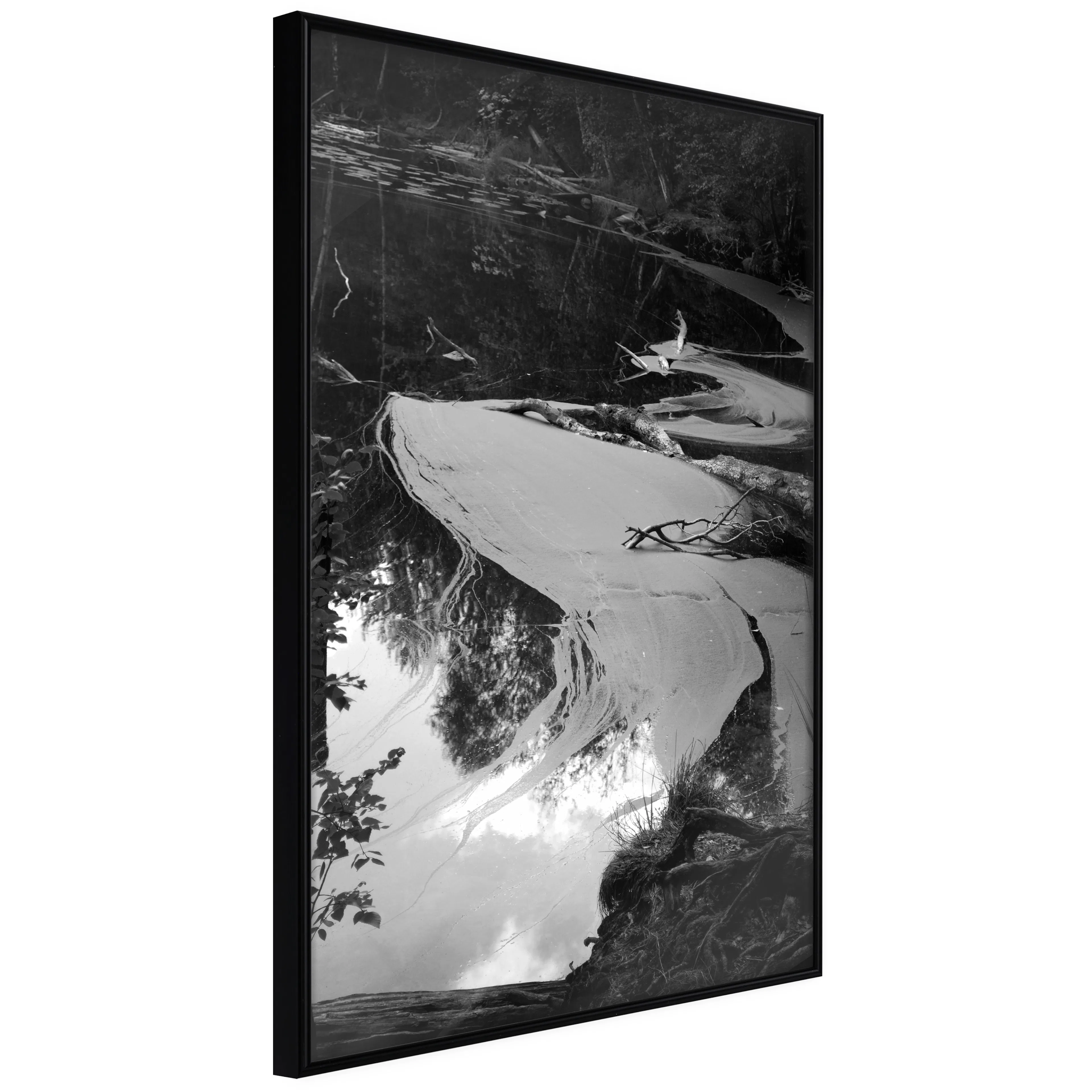 Affisch - Pond [Poster] 40x60 Svart ram, 40x60 cm