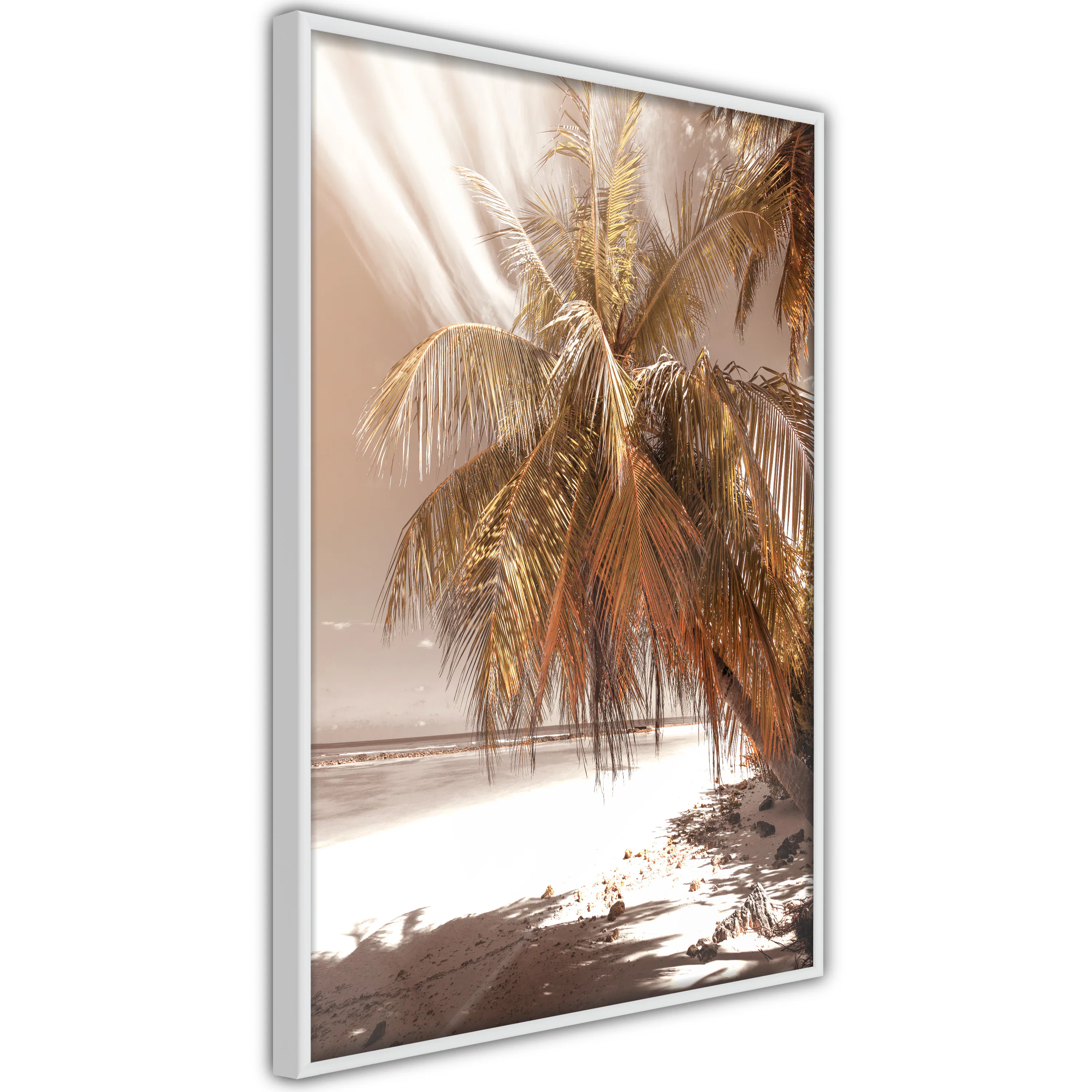 Poster Artgeist Affisch Palm Shadow