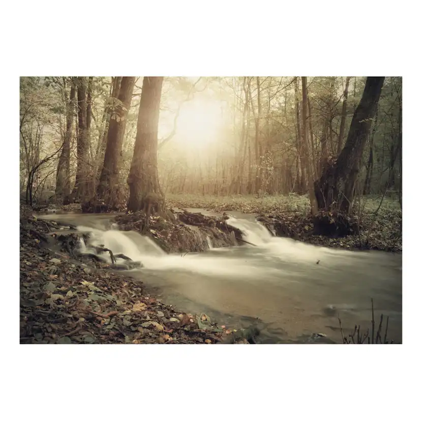 Fototapet Arkiio Självhäftande Forest Cascade