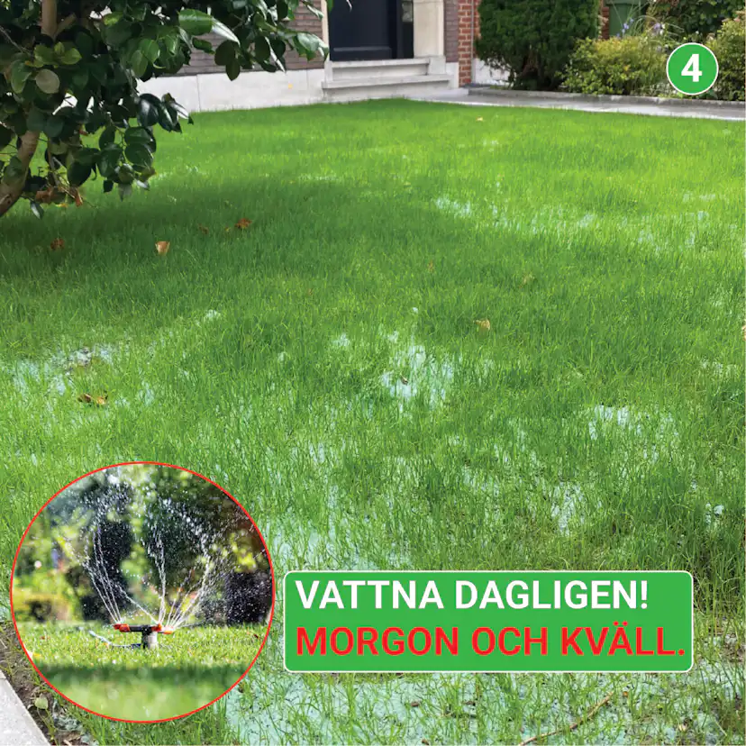 Trädgårdblommor Turfquick Blomfröer Blomsteräng Turfquick Fjäril & Humla 5 kvm