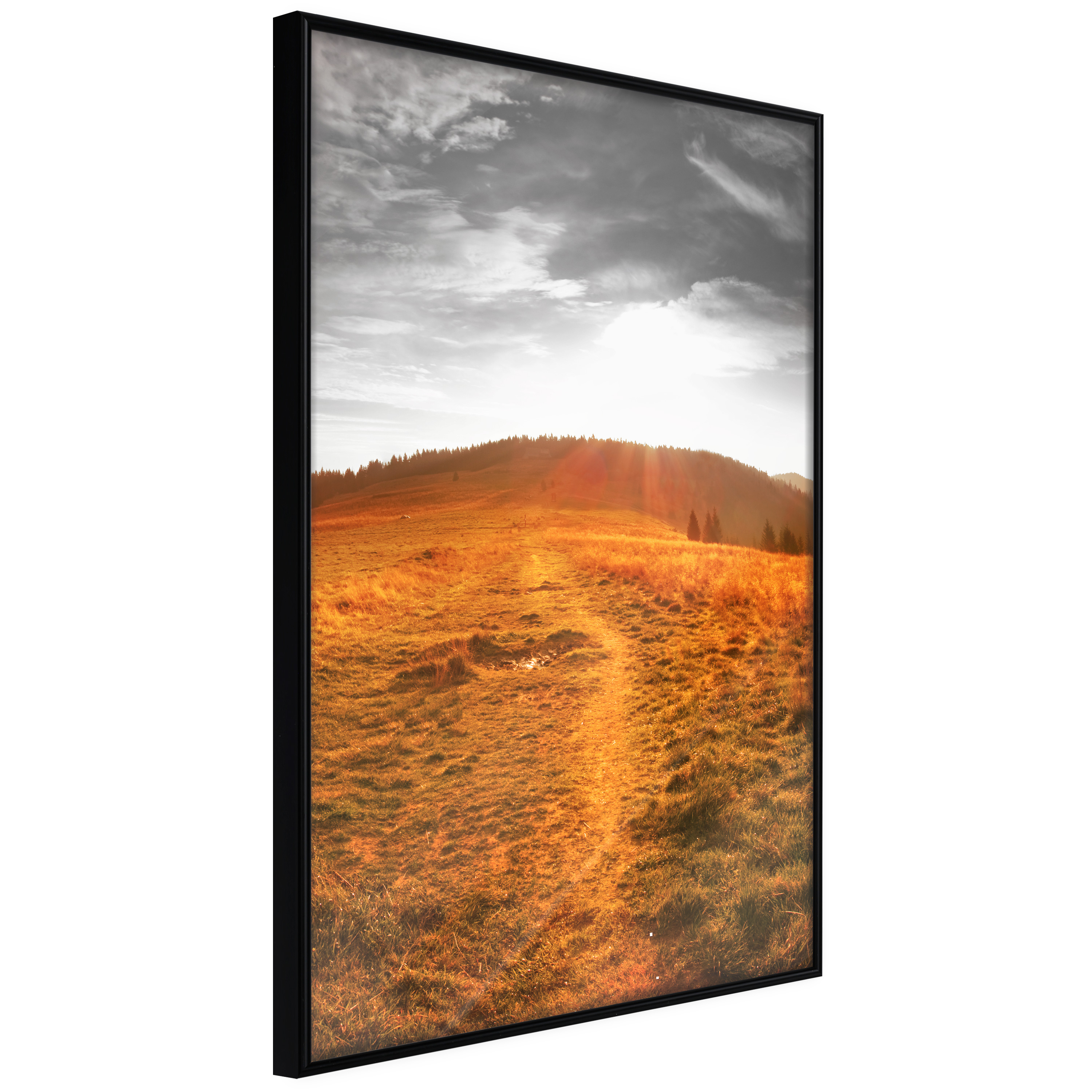 Affisch - Idyll [Poster] 30x45 Svart ram, 30x45 cm