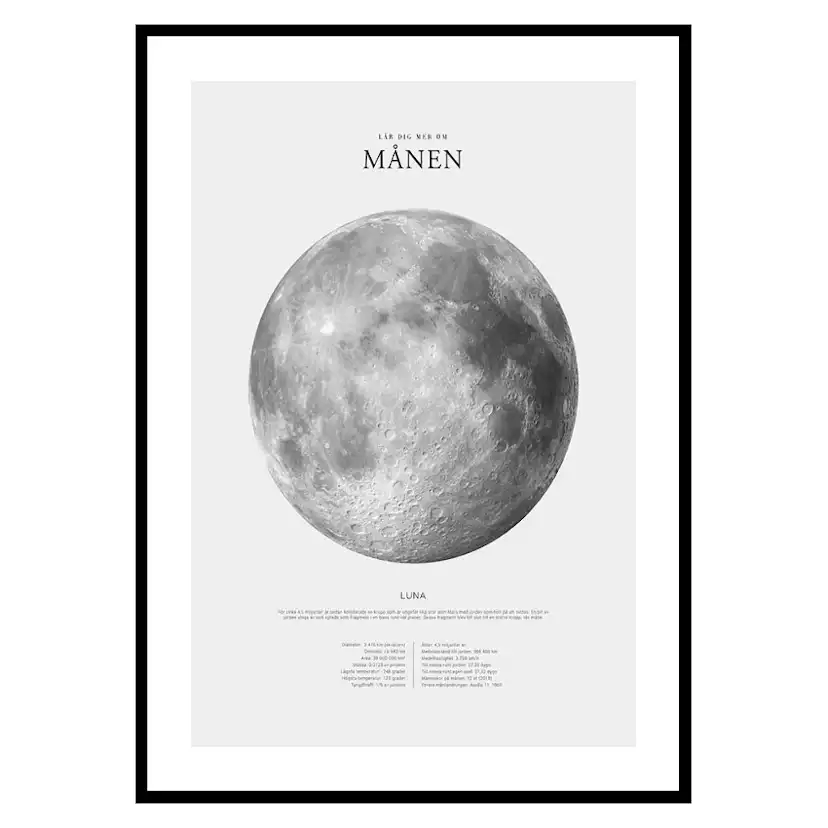 Poster Gallerix Månen