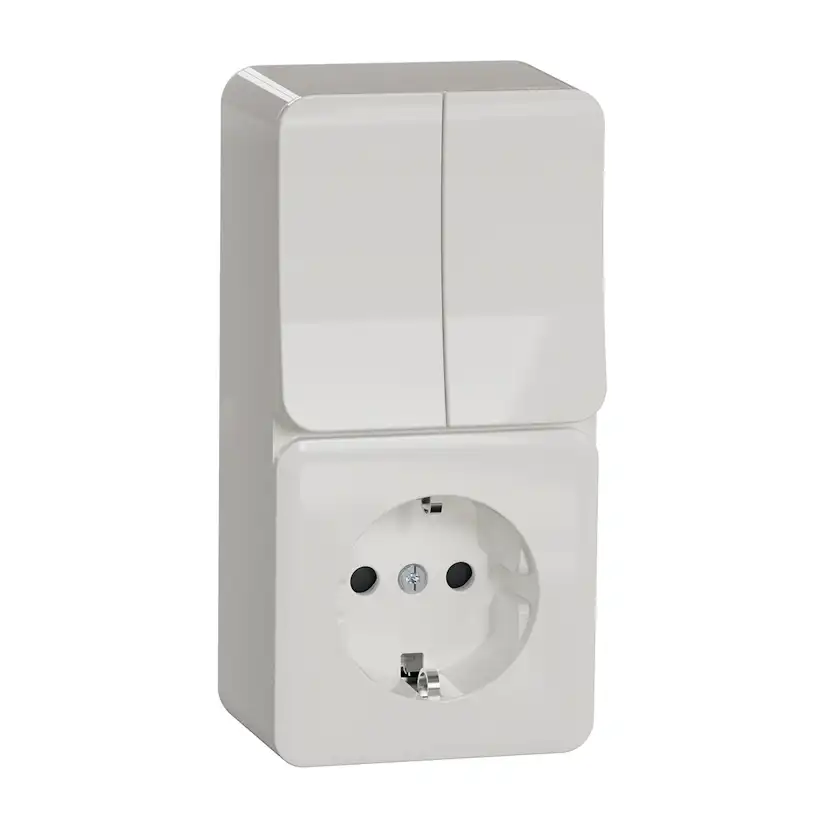 Vägguttag Schneider Electric Exxact Kron