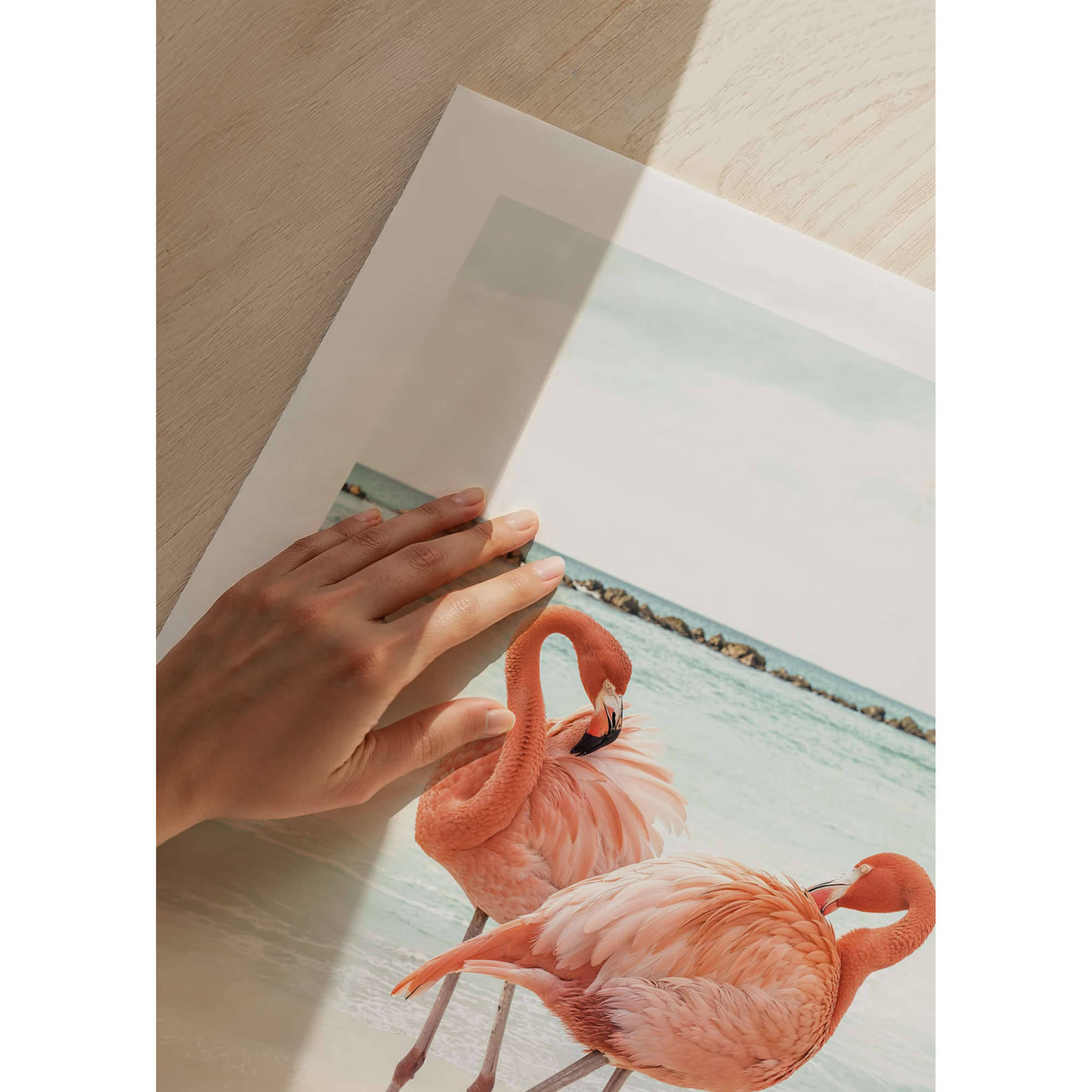 Poster Gallerix Flamingo Beach Duo
