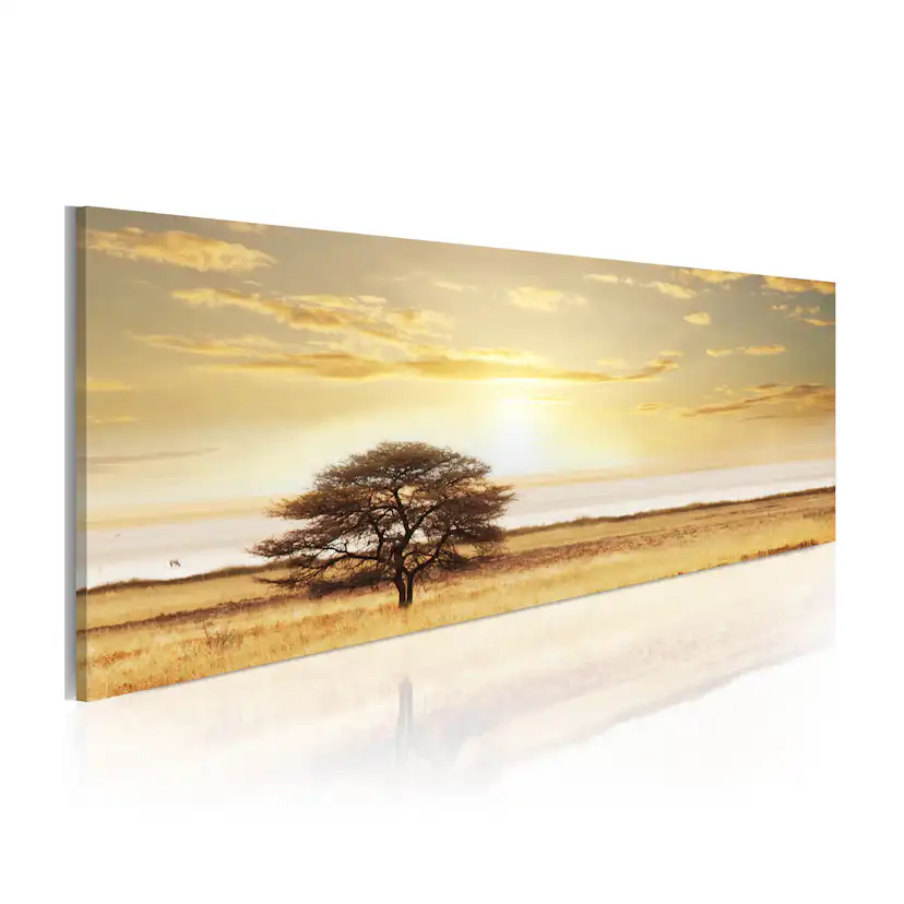 Tavla Arkiio Lonely Tree On Savannah
