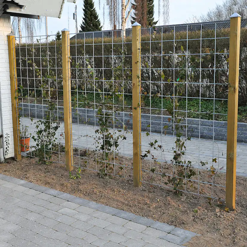Nätspaljé HORTUS Rio