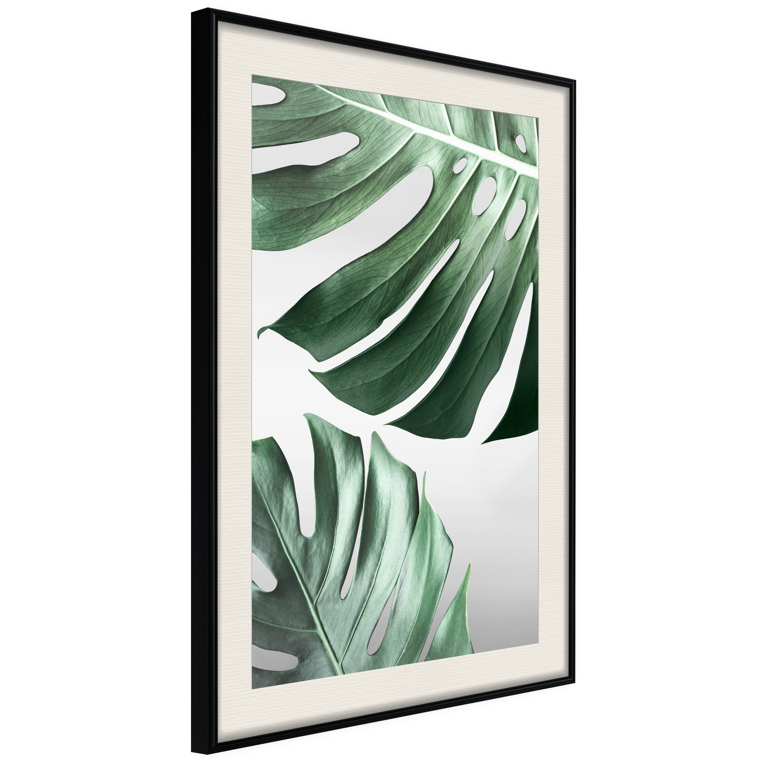 Affisch - Monstera Leaves [Poster] 30x45 Svart ram med passepartout, 30x45 cm