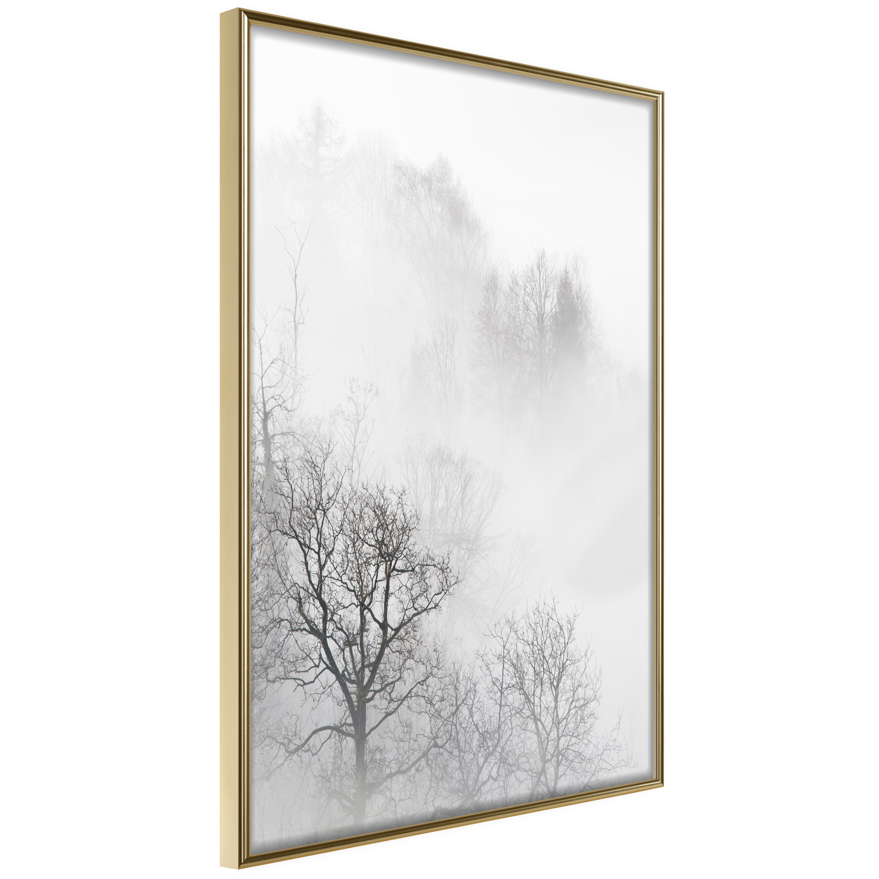 Affisch - Trees In The Fog [Poster] 20x30 Guld ram, 20x30 cm