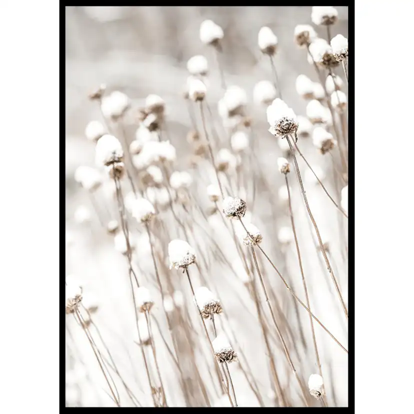 Poster Gallerix Snow Covered Dried Flowers