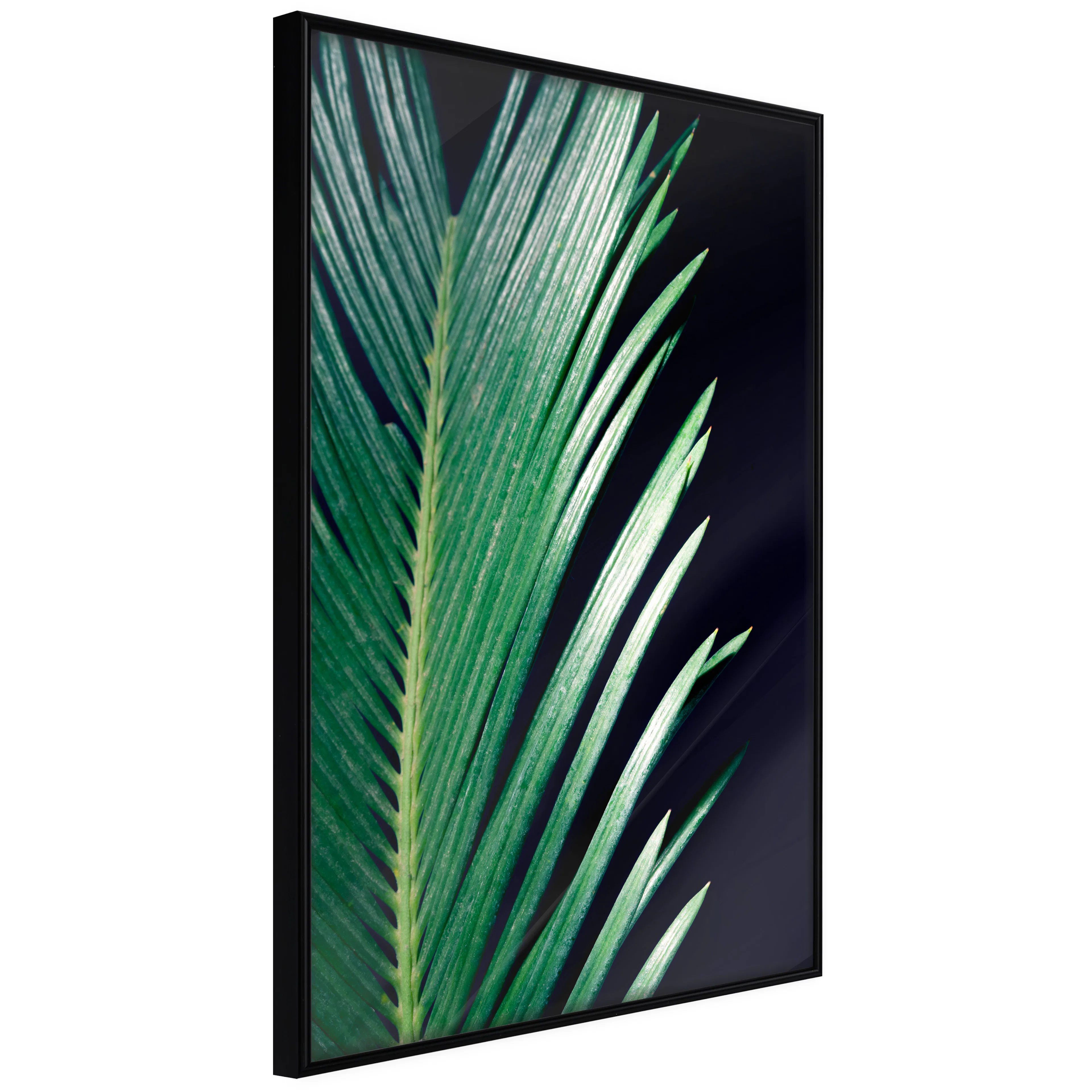 Affisch - Sharp Leaves [Poster] 40x60 Svart ram, 40x60 cm