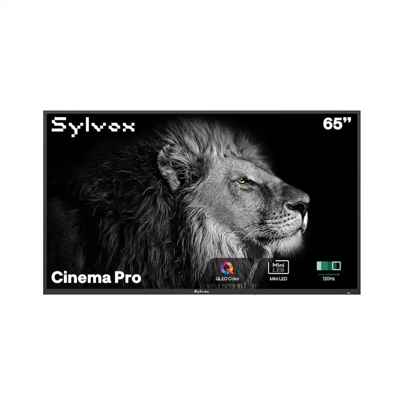 Utomhus TV Sylvox Cinema Pro 120Hz Helio QLED 65tum