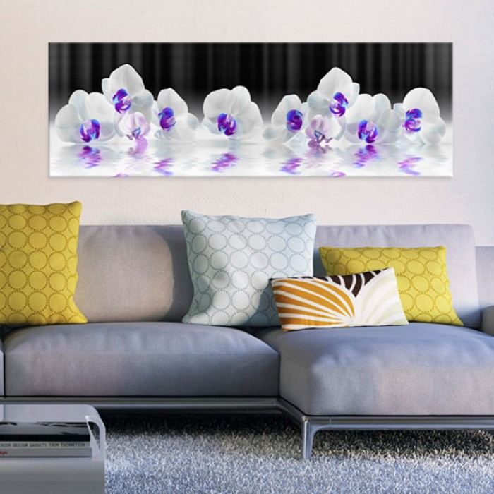 Tavla Arkiio  Water Orchids