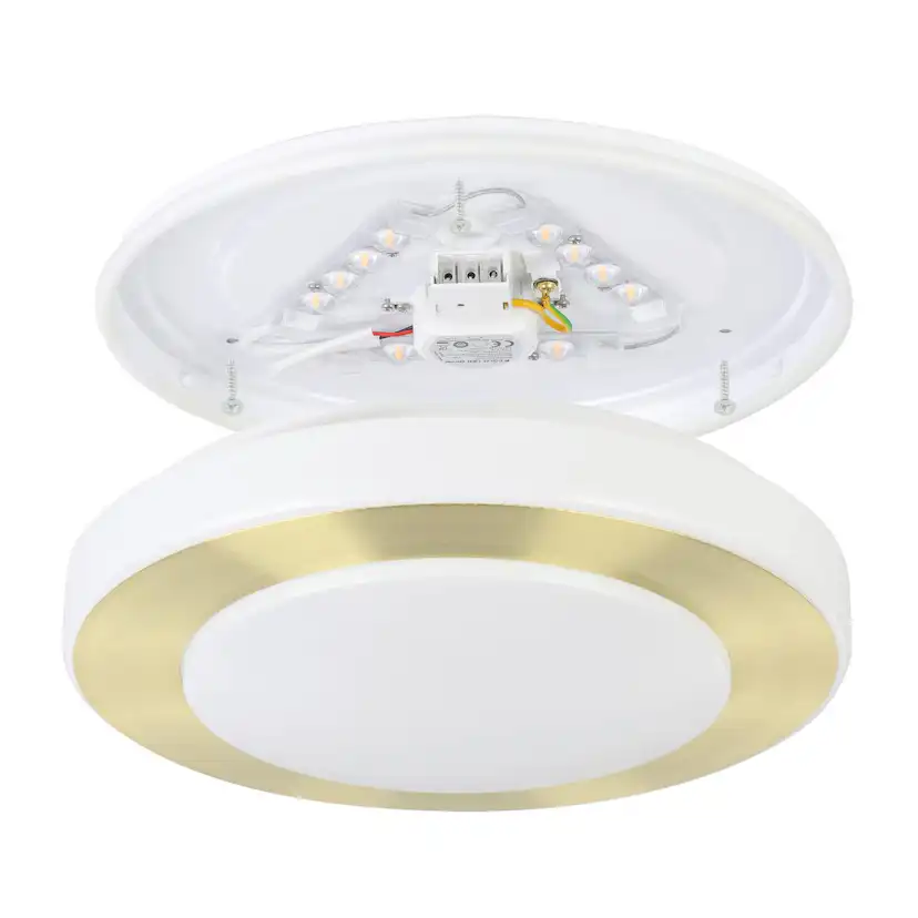 Taklampa Eglo Led Carpi