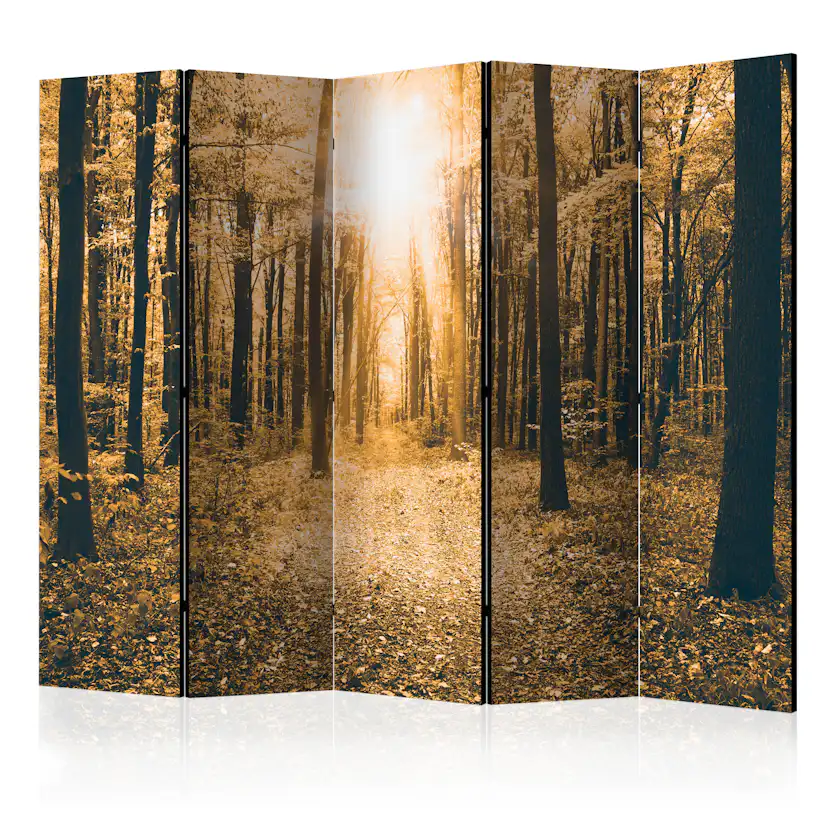 Rumsavdelare Arkiio Magical Light II 225x172 cm