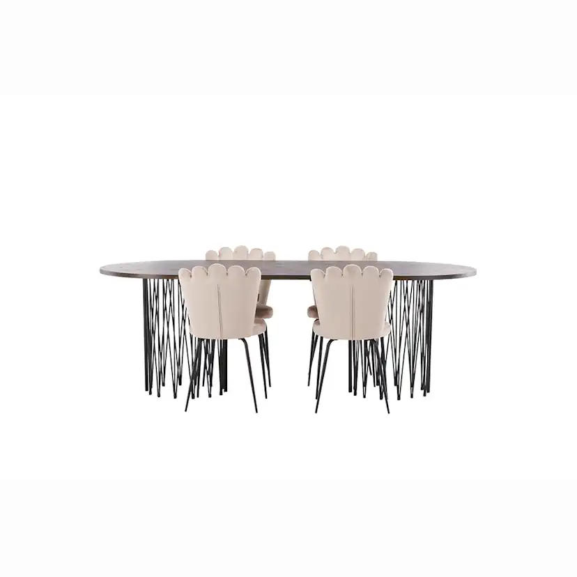 Matgrupp furniture/fashion Stone med 4 Limhamn Light Stolar