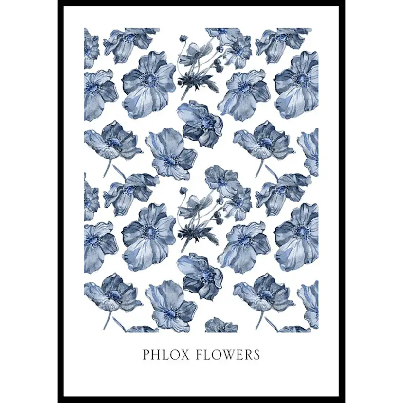 Poster Gallerix Phlox Flowers