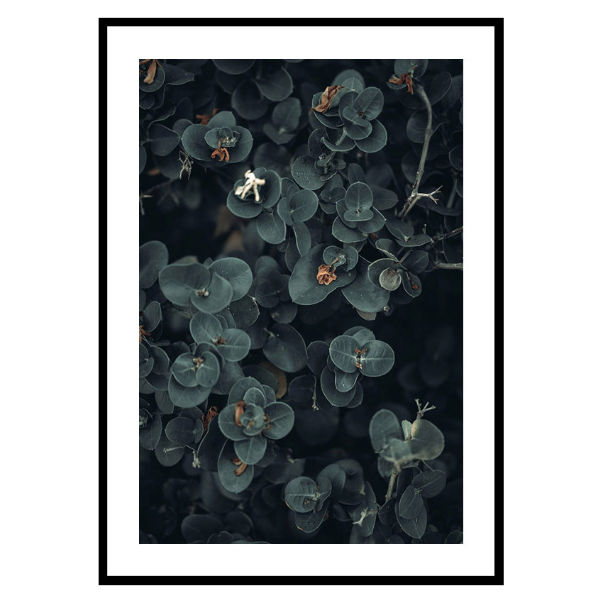Poster Gallerix Dark And Green Botanical