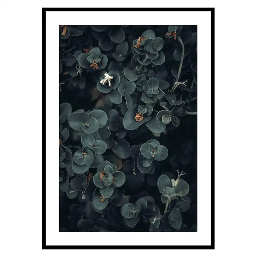 Poster Gallerix Dark And Green Botanical