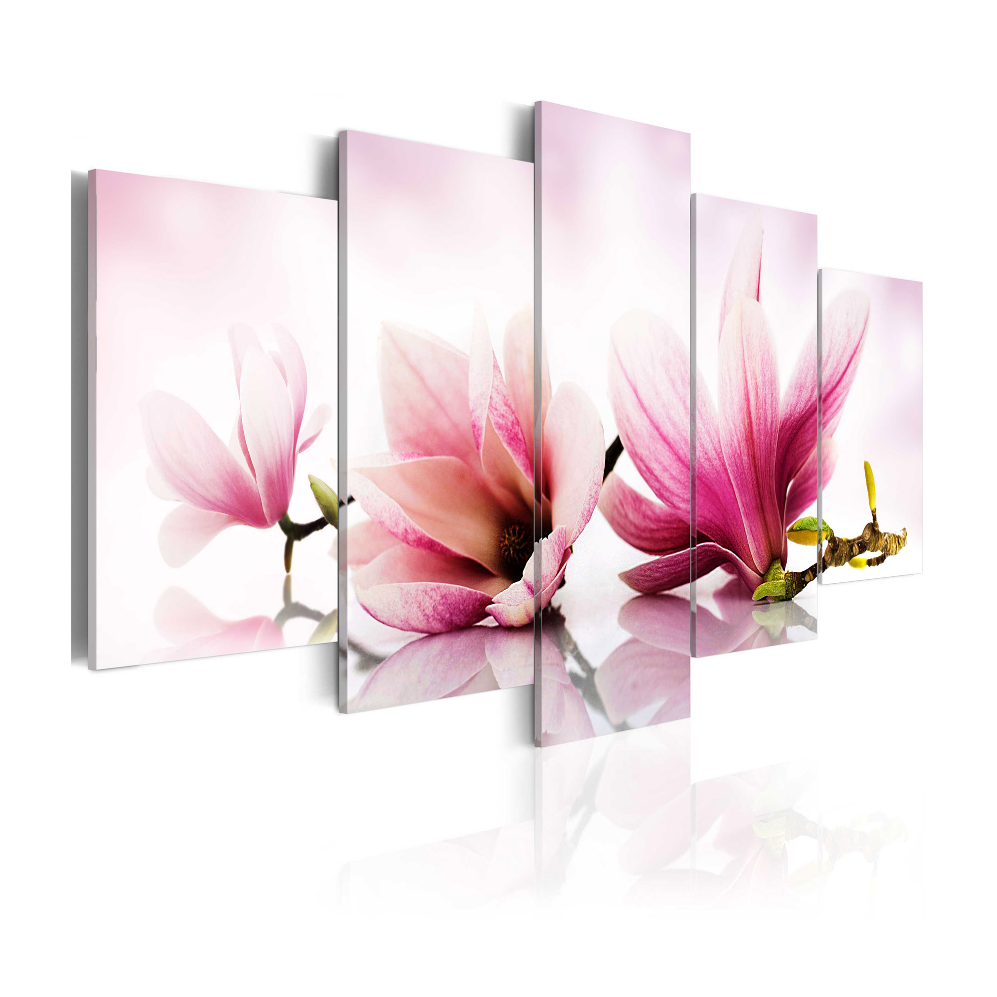 Tavla Arkiio Magnolias Pink Flowers