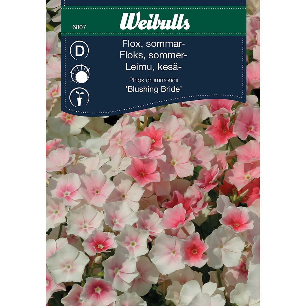 Frö Flox Weibulls Blushing Bride