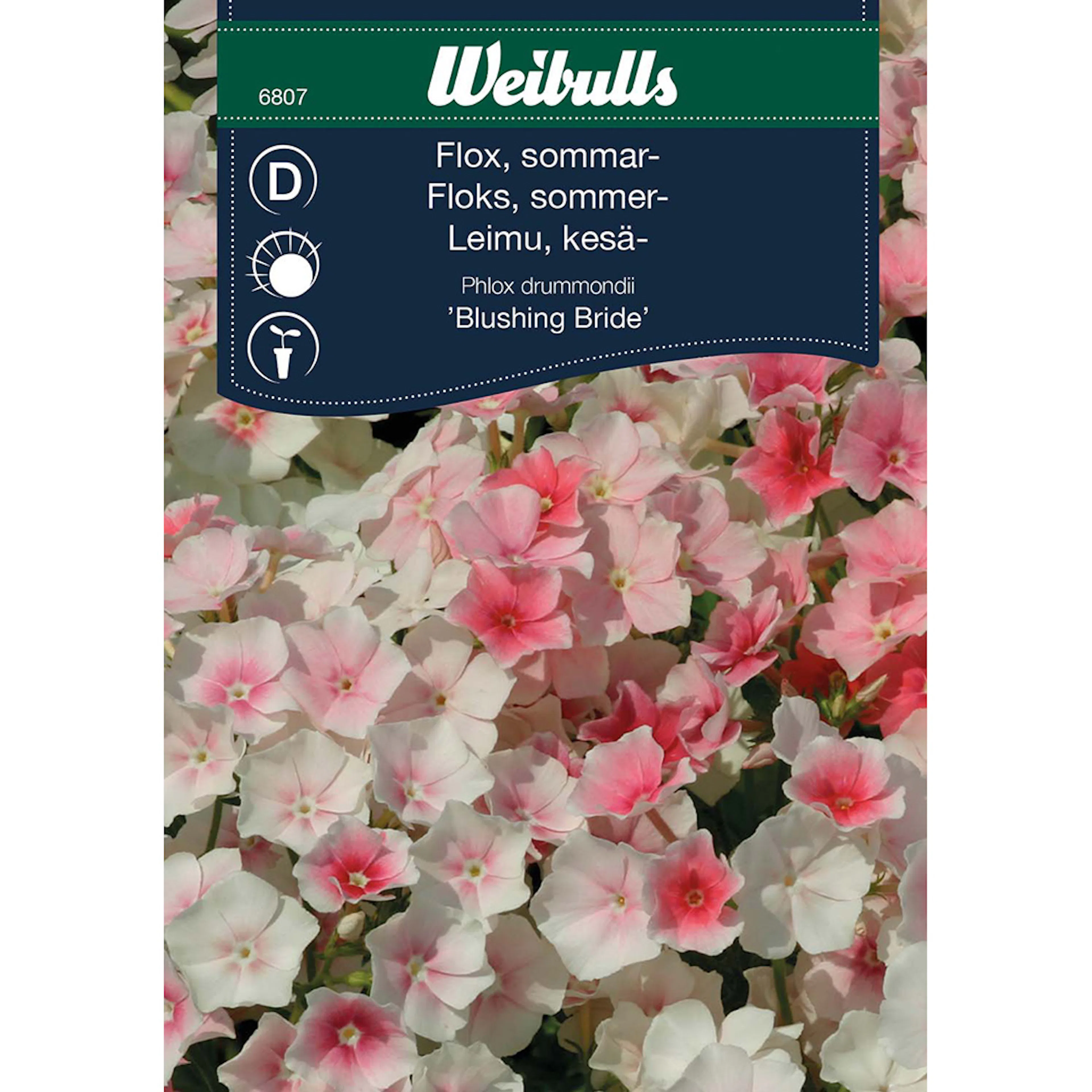 Frö Flox Weibulls Blushing Bride