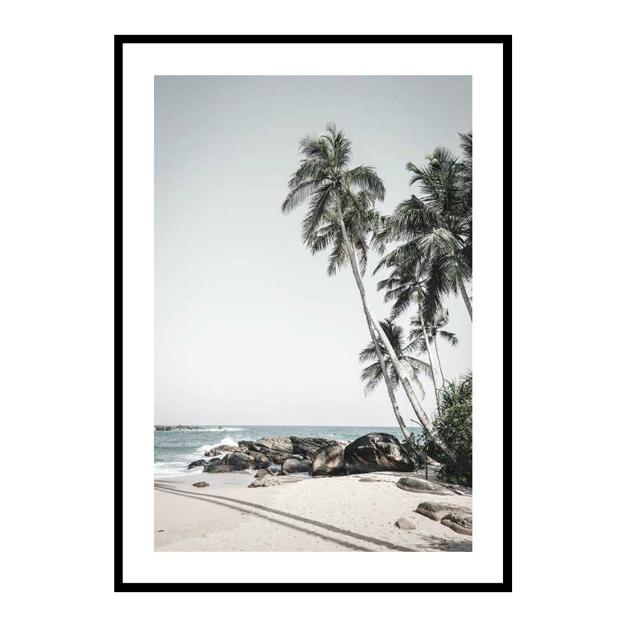 Anantara Palm Trees 30x40 cm