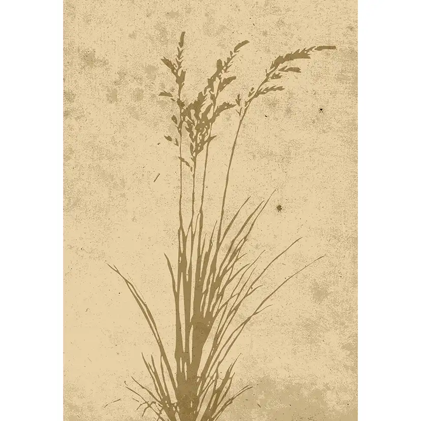 Posters Venture Home Plant Art Beige