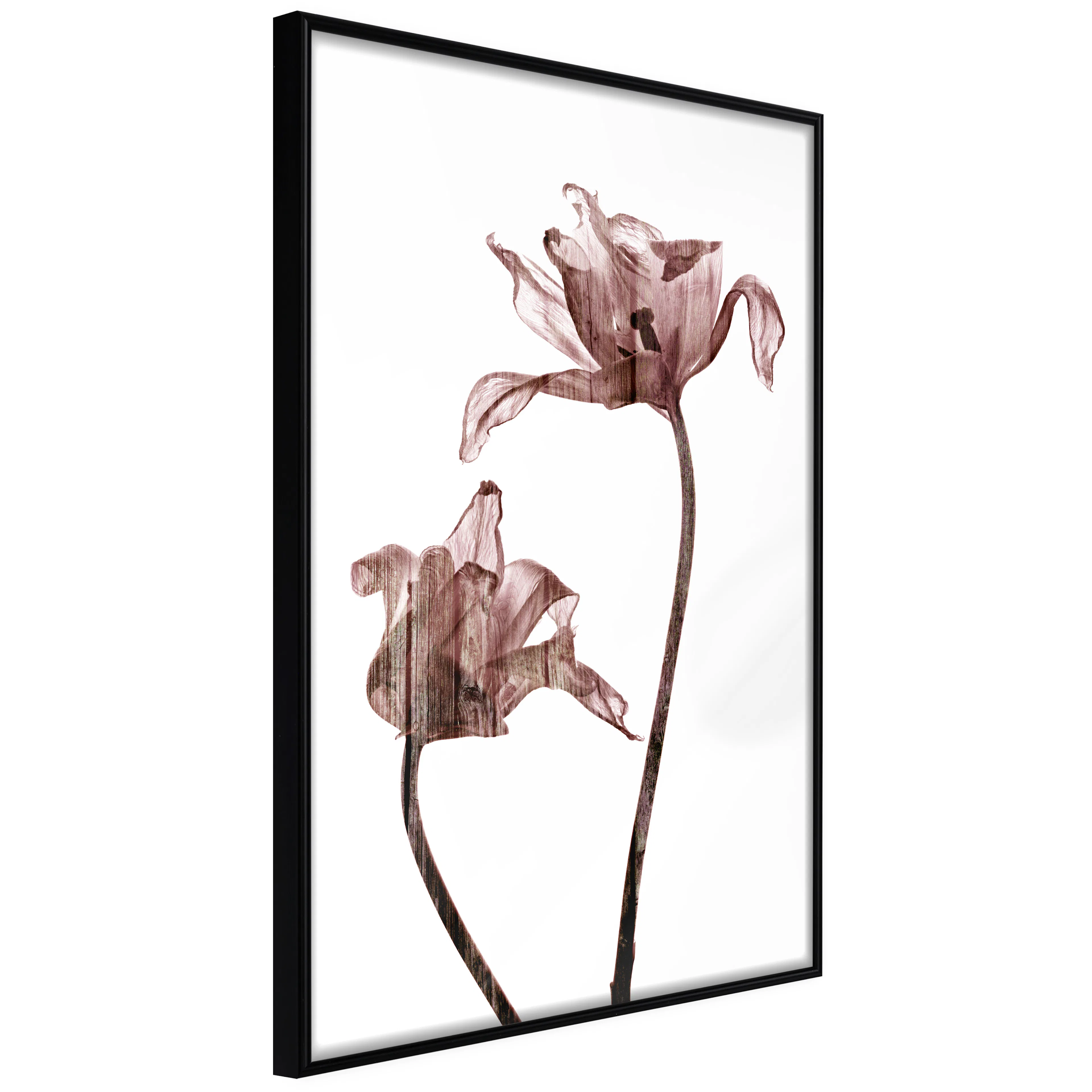 Affisch - Illuminated Closeness [Poster] 40x60 Svart ram, 40x60 cm