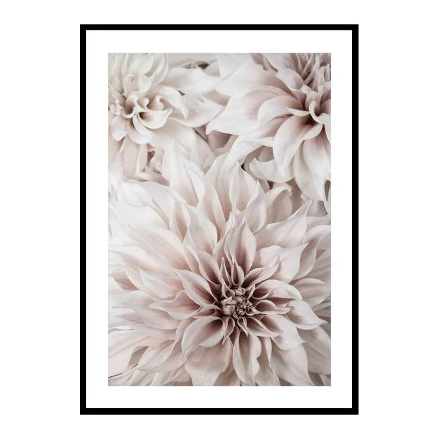 Poster Gallerix Pink Shaded Flowers