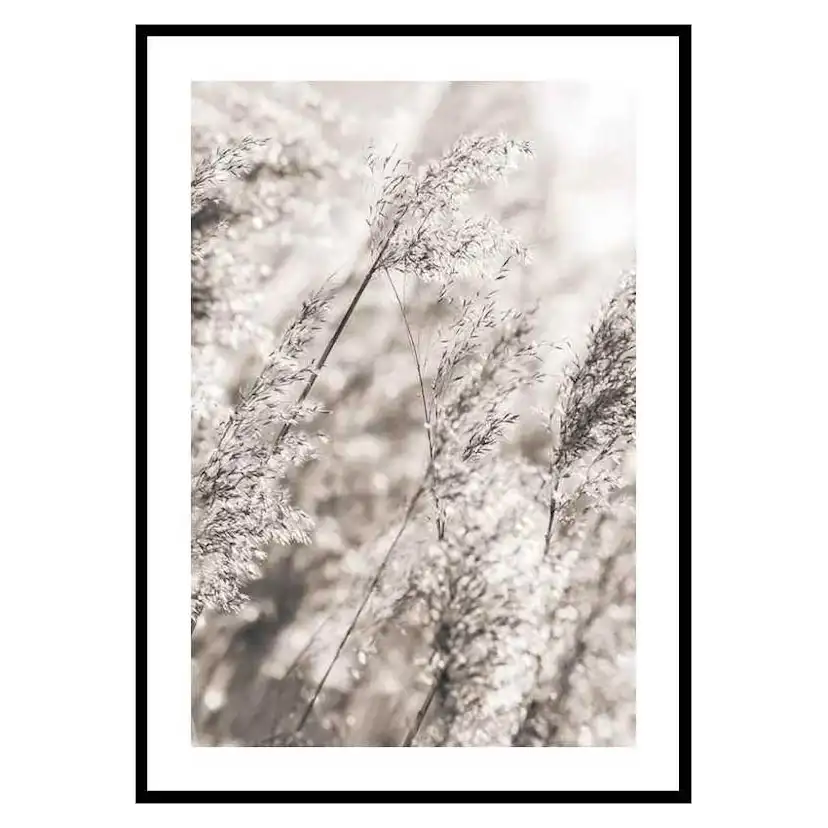 Poster Gallerix Dried Plants No3