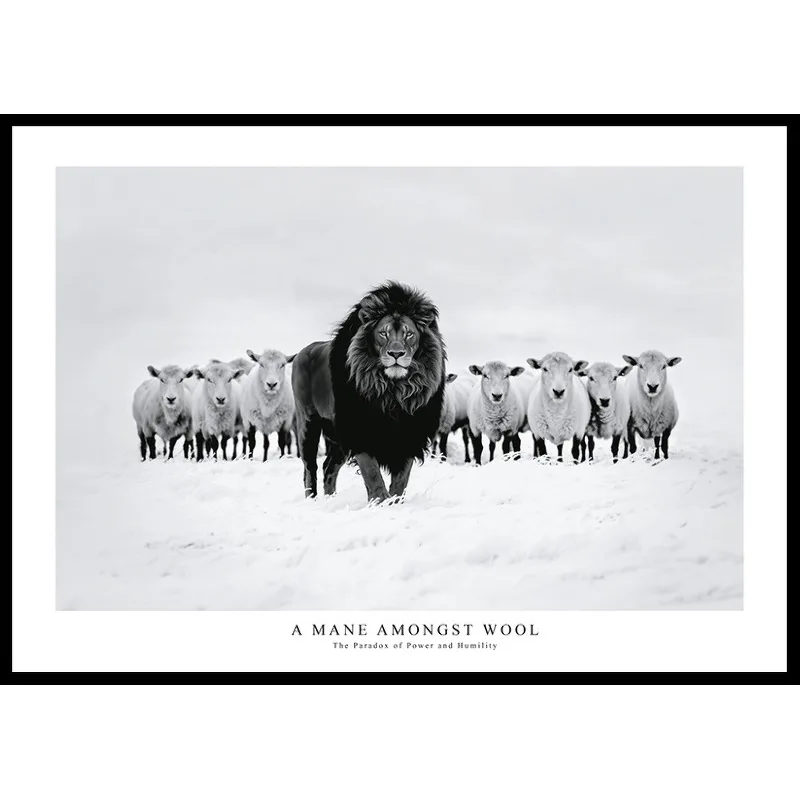 Poster Gallerix A Mane Amongst Wool