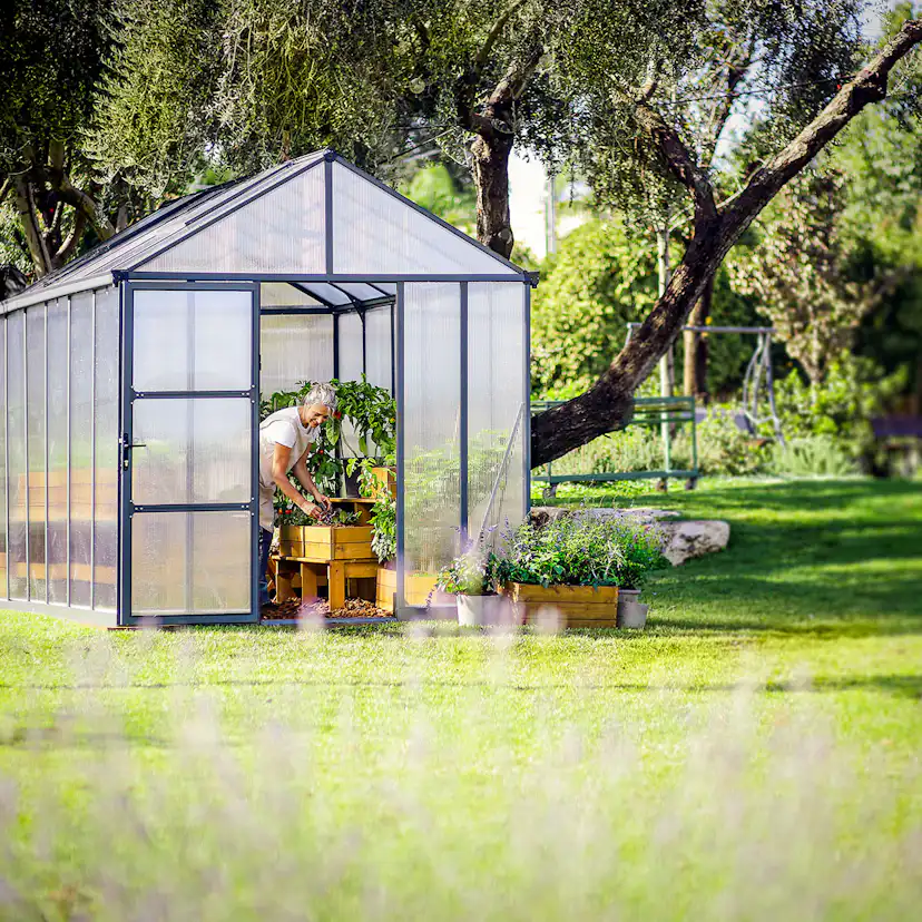 Växthus Canopia by Palram Glory 9,2 m² Mörkgrå