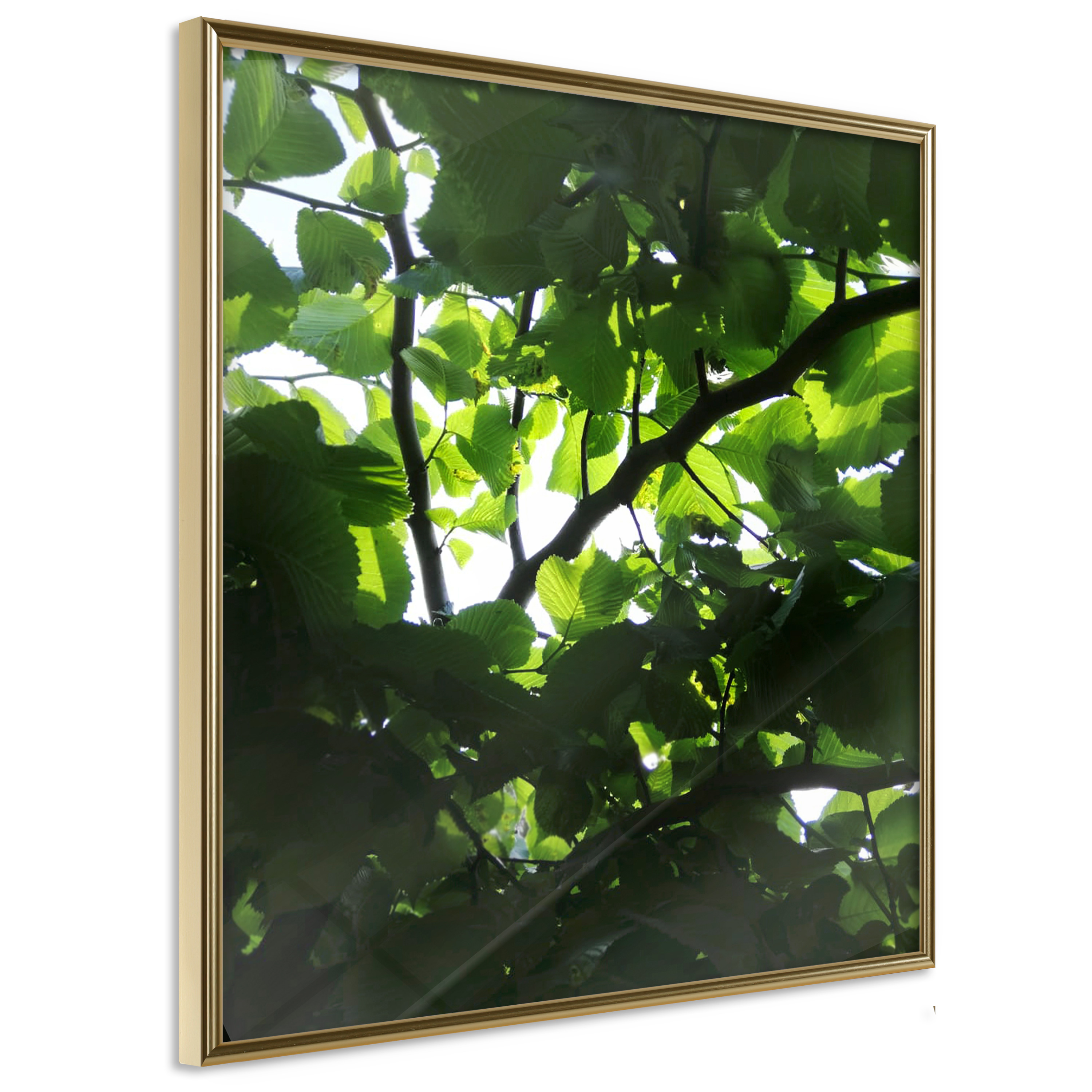 Affisch - Dawn [Poster] 20x20 Guld ram, 20x20 cm