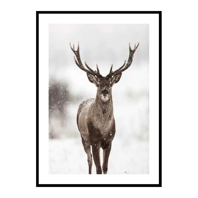 Poster Gallerix Majestic Red Deer