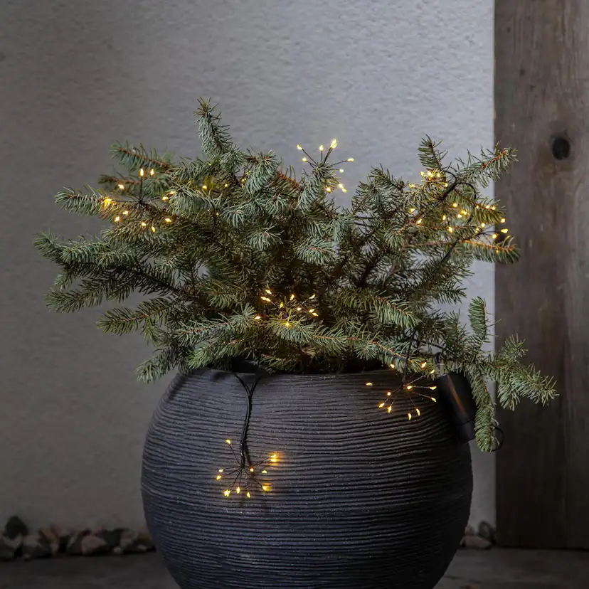 Ljusslinga Star Trading Dew Drop Flower