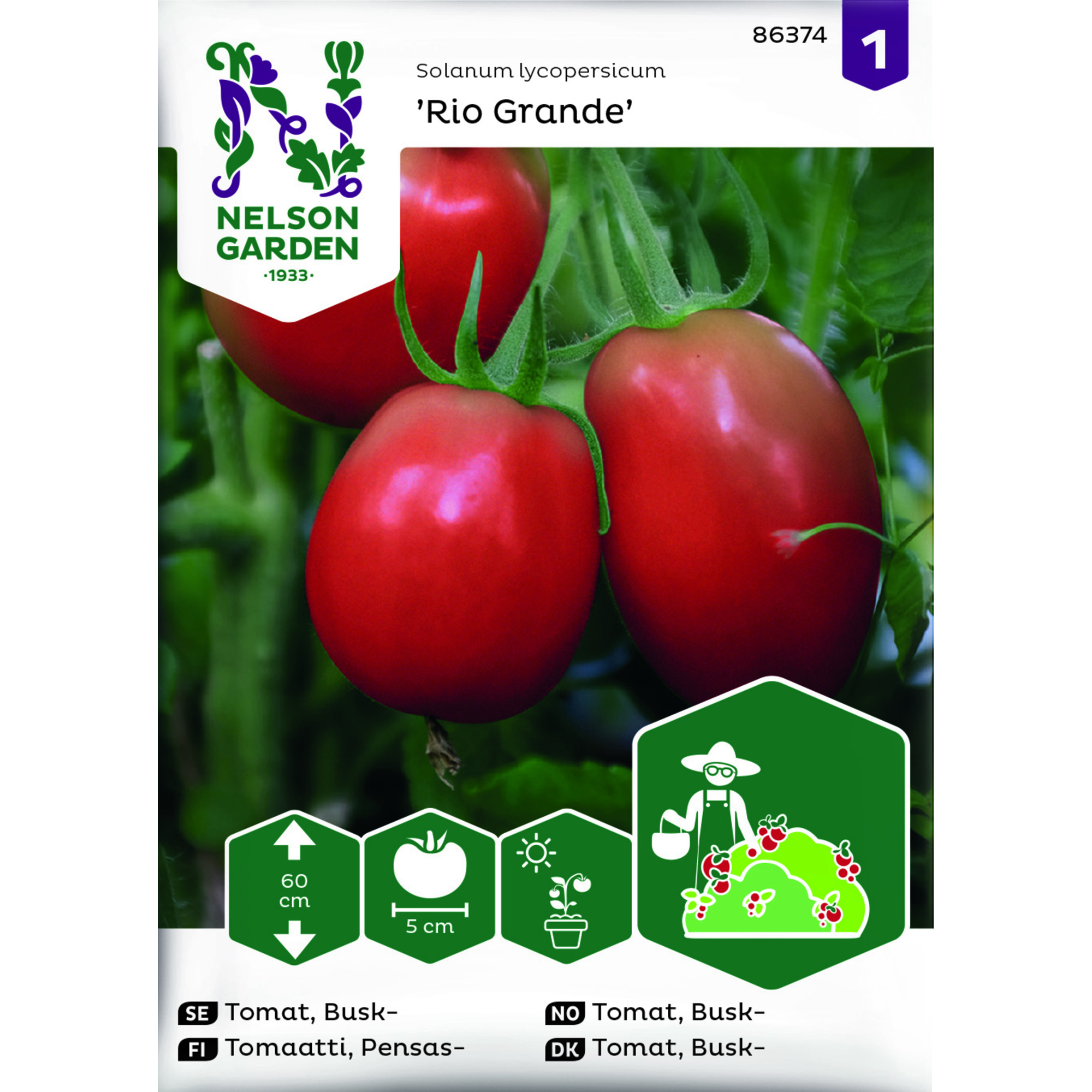 Frö Nelson Garden Tomat Rio Grande Busktomat