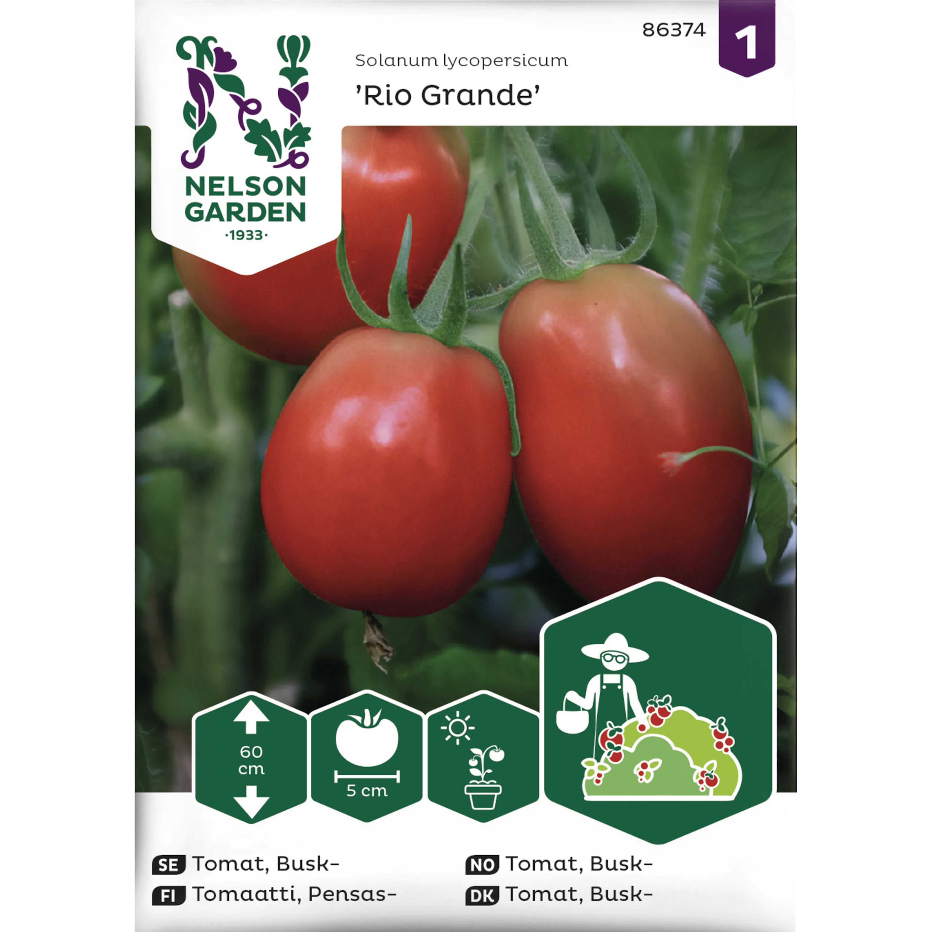 Frö Nelson Garden Tomat Rio Grande Busktomat