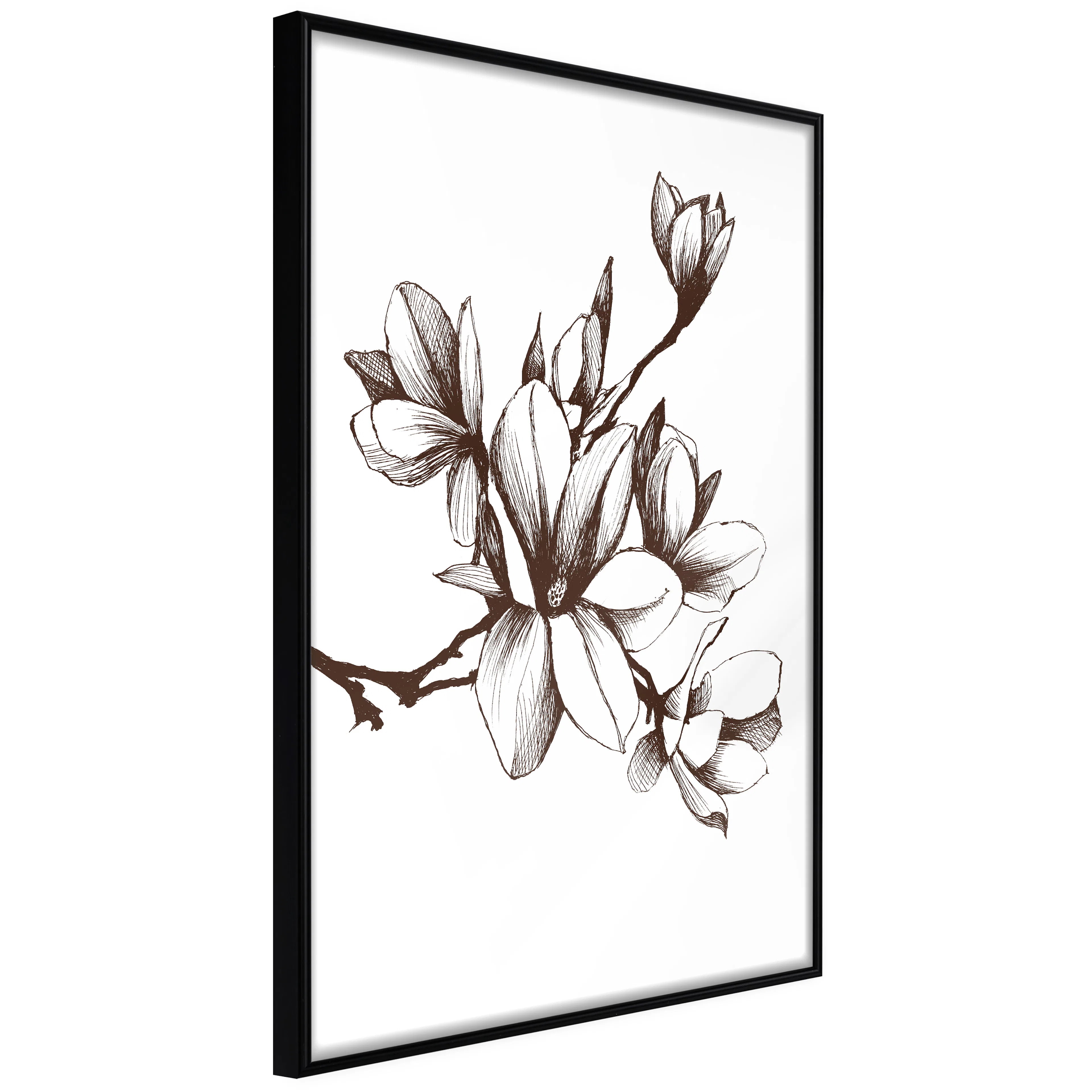 Affisch - Renaissance Magnolias [Poster] 40x60 Svart ram, 40x60 cm