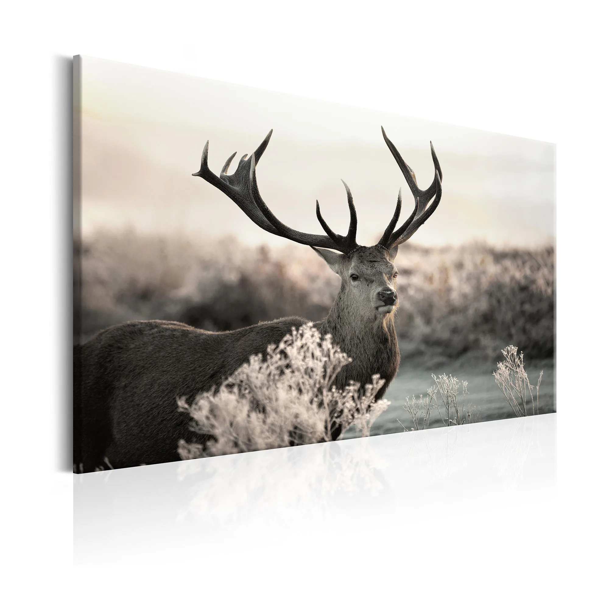 Tavla Arkiio Powerful Horns