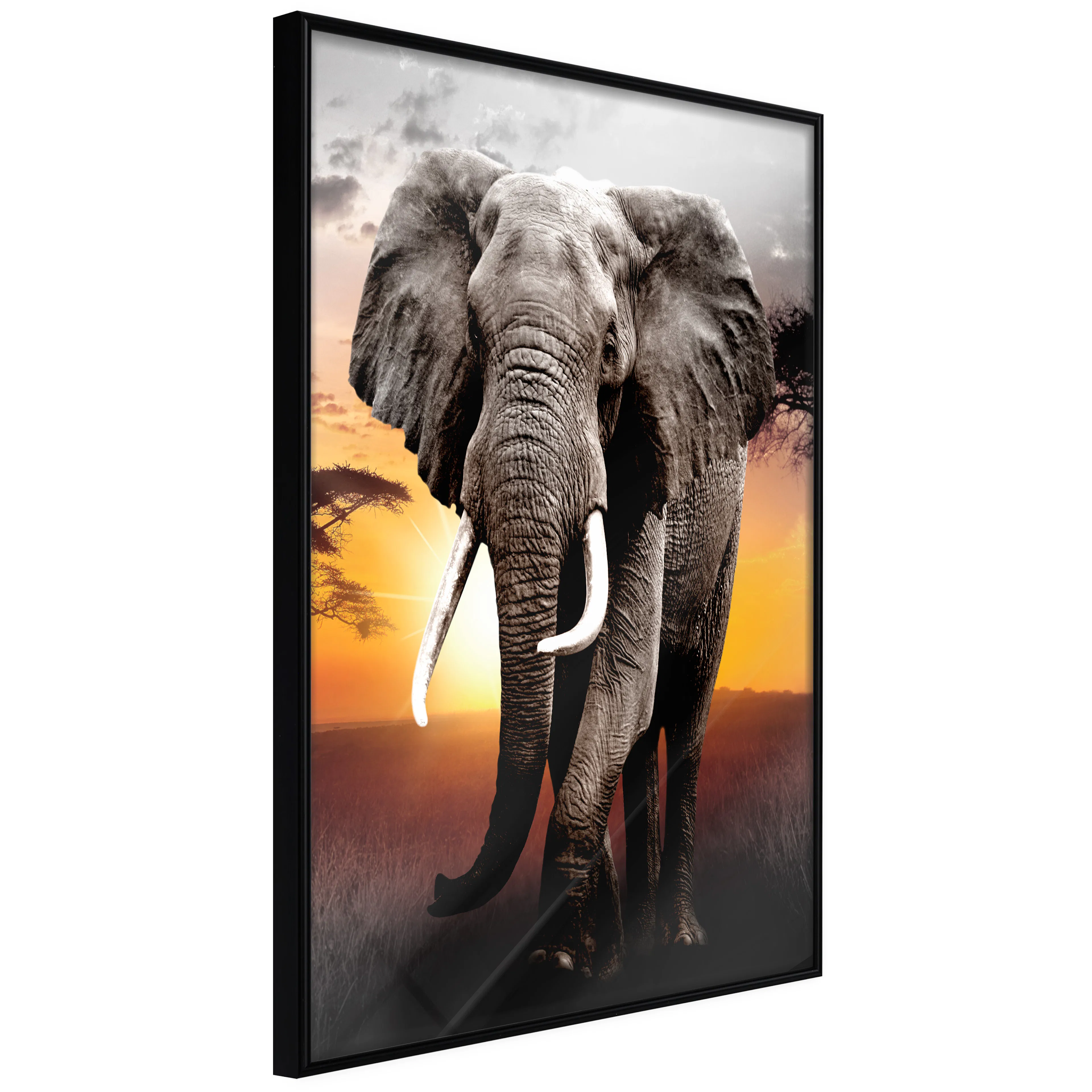 Affisch - Warm Savanna [Poster] 40x60 Svart ram, 40x60 cm