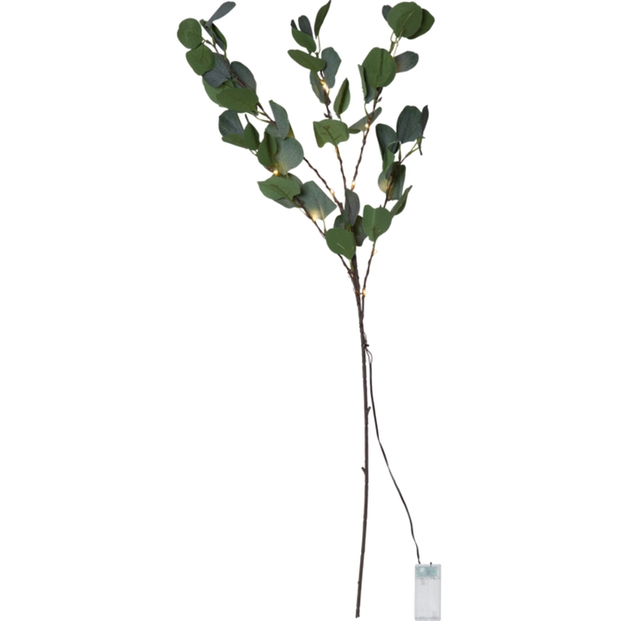 Dekorationskvist Star Trading Eucalyptus