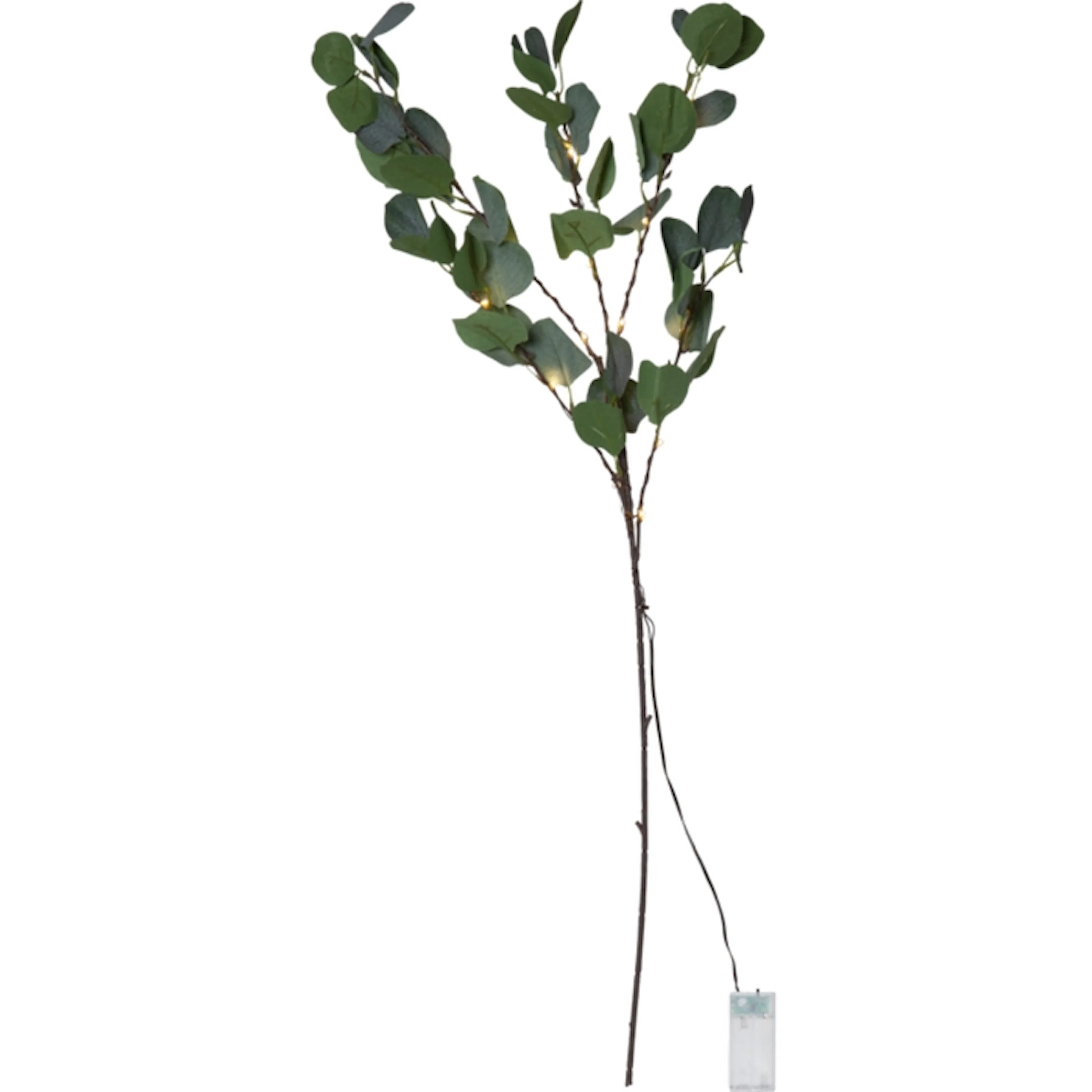 Dekorationskvist Star Trading Eucalyptus