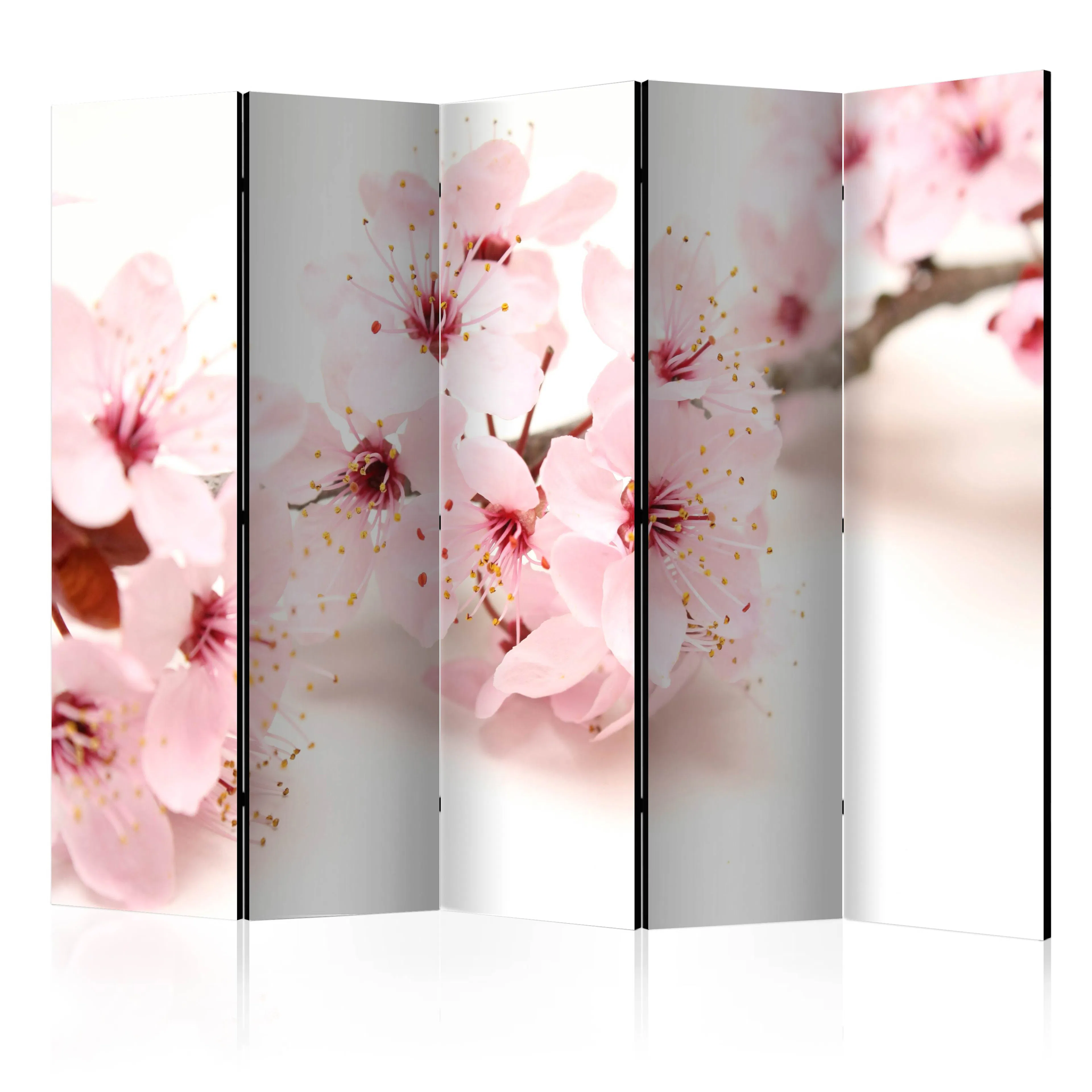 Rumsavdelare Arkiio Cherry Blossom II 225x172 cm
