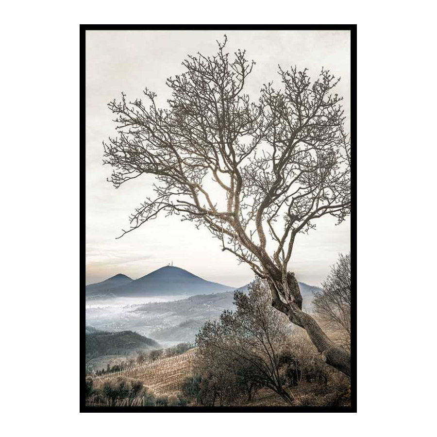 Poster Gallerix Lonely Tree Against Sky