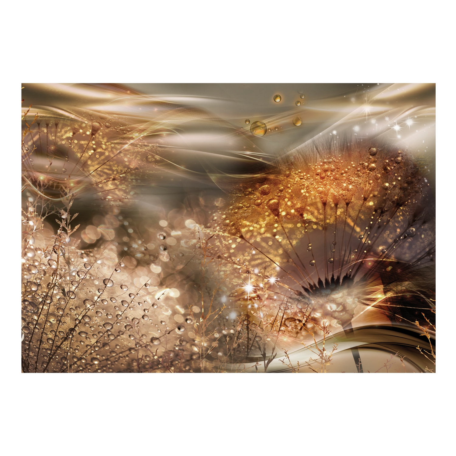 Fototapet Arkiio Självhäftande Dandelions' World Gold