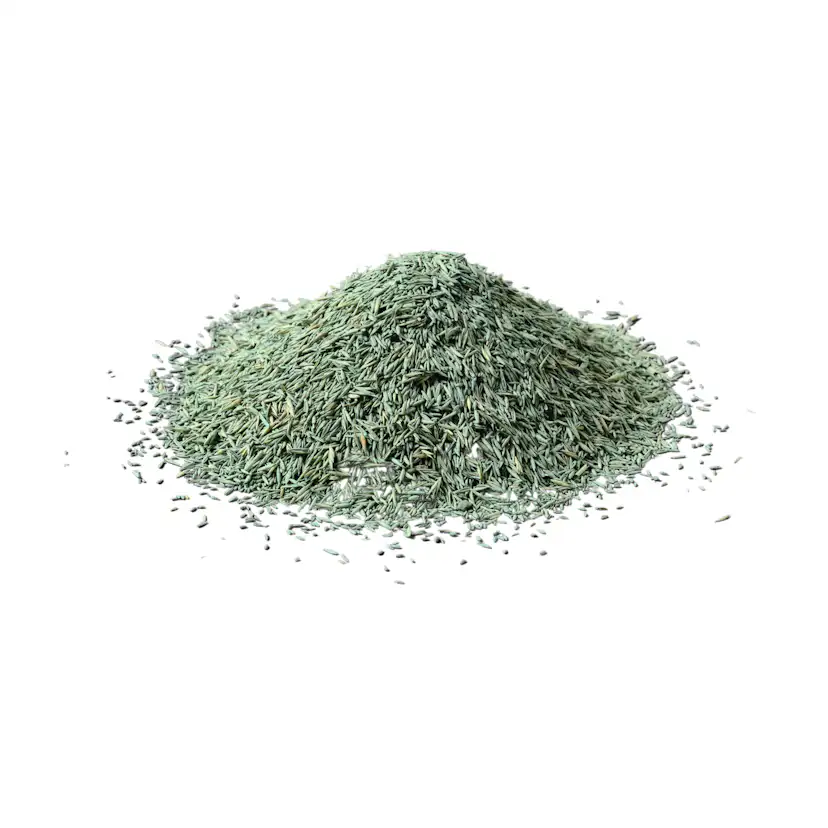 Gräsfrö Xeed Reparera 5 kg