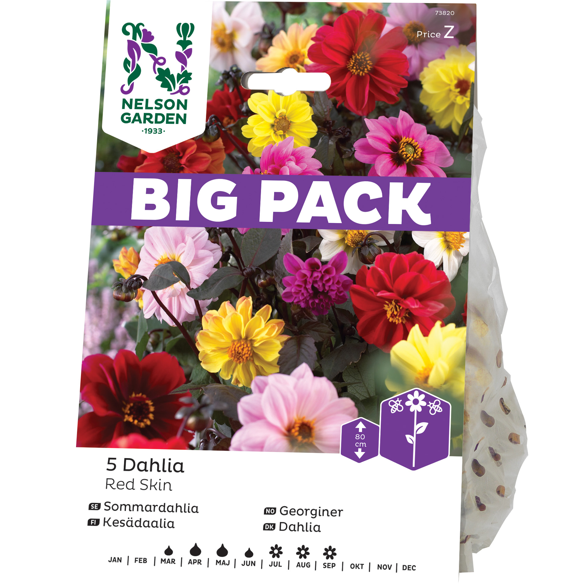 Dahlia Unwins Nelson Garden Red Skin BigPack