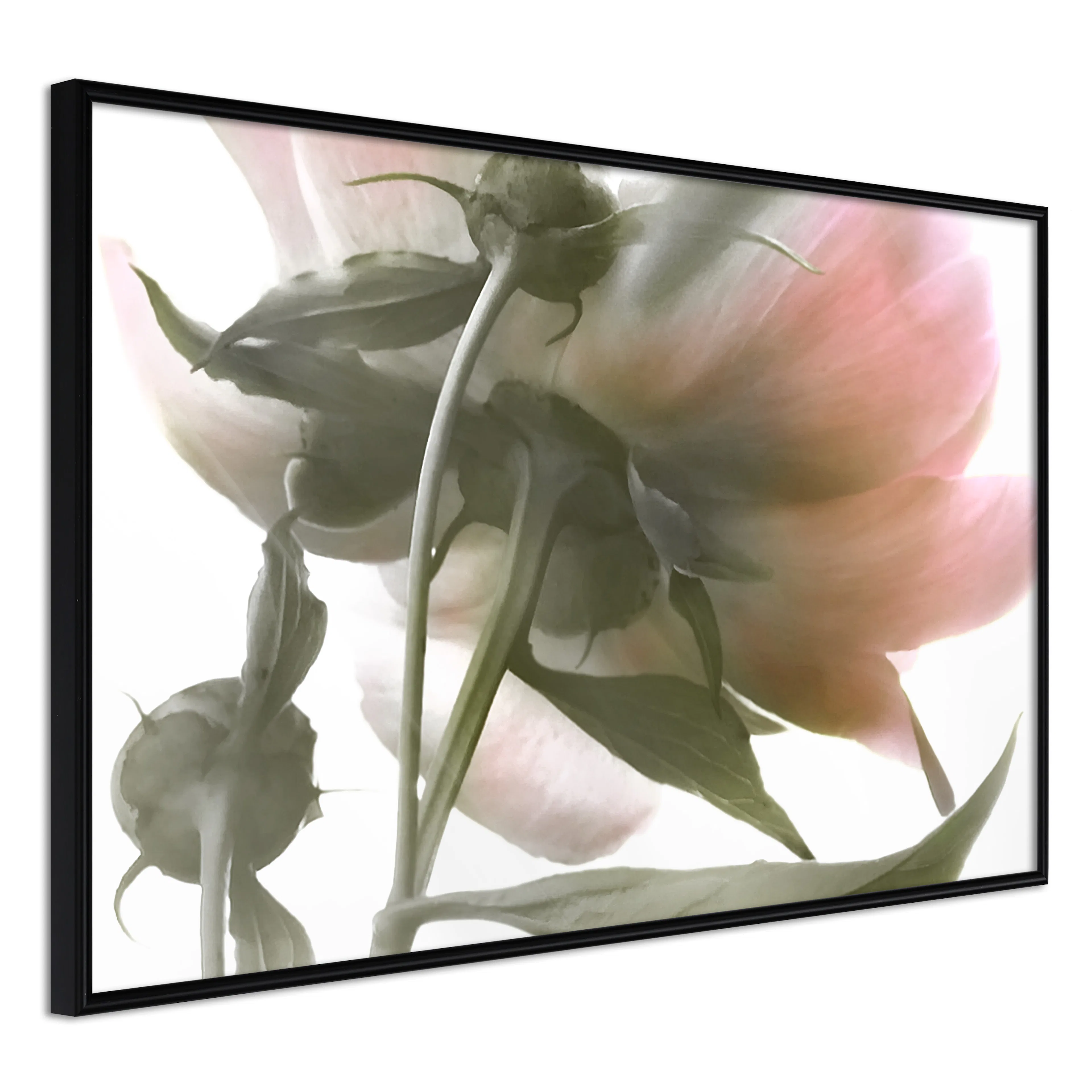 Affisch - Her Highness [Poster] 60x40 Svart ram, 60x40 cm