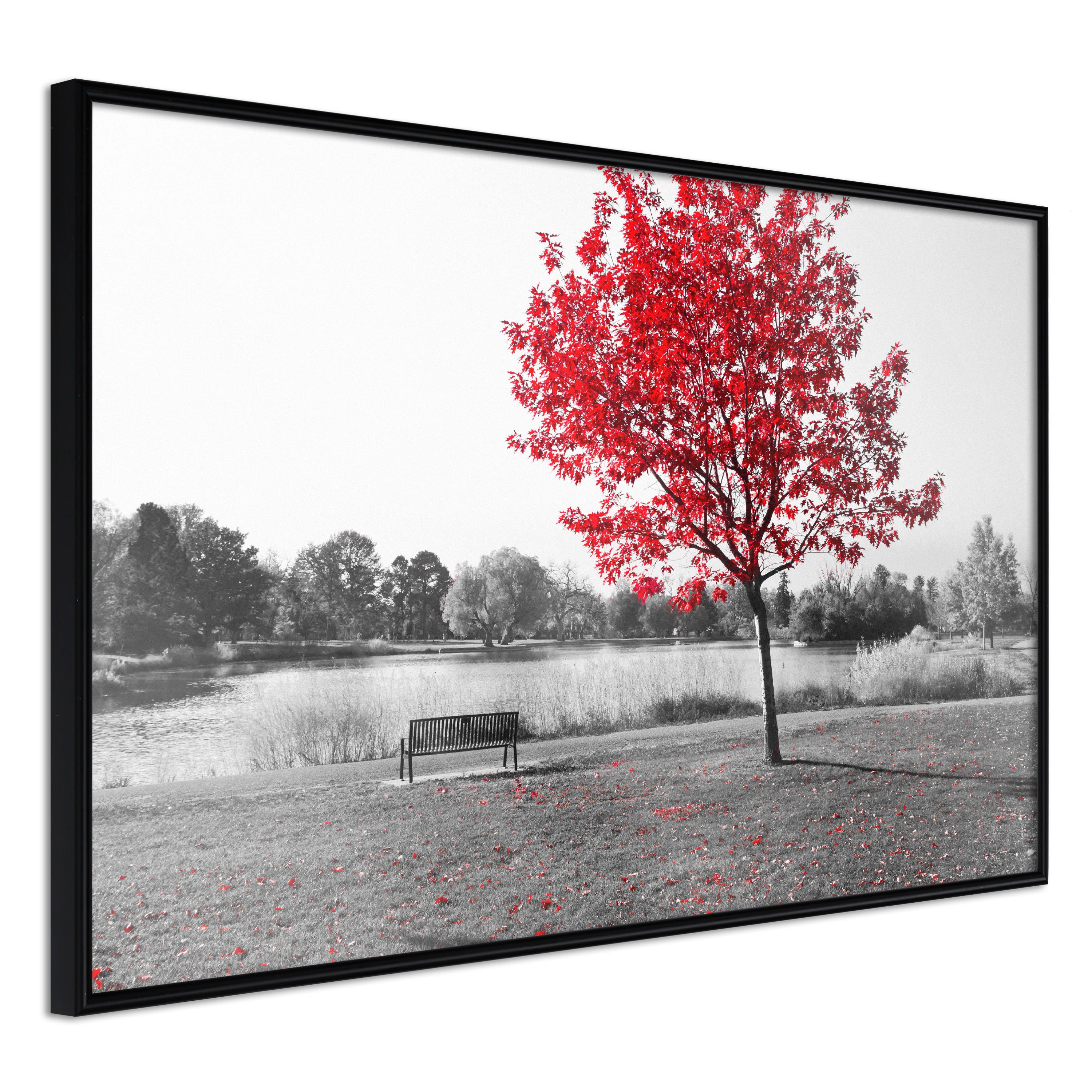 Affisch - Red Tree [Poster] 60x40 Svart ram, 60x40 cm