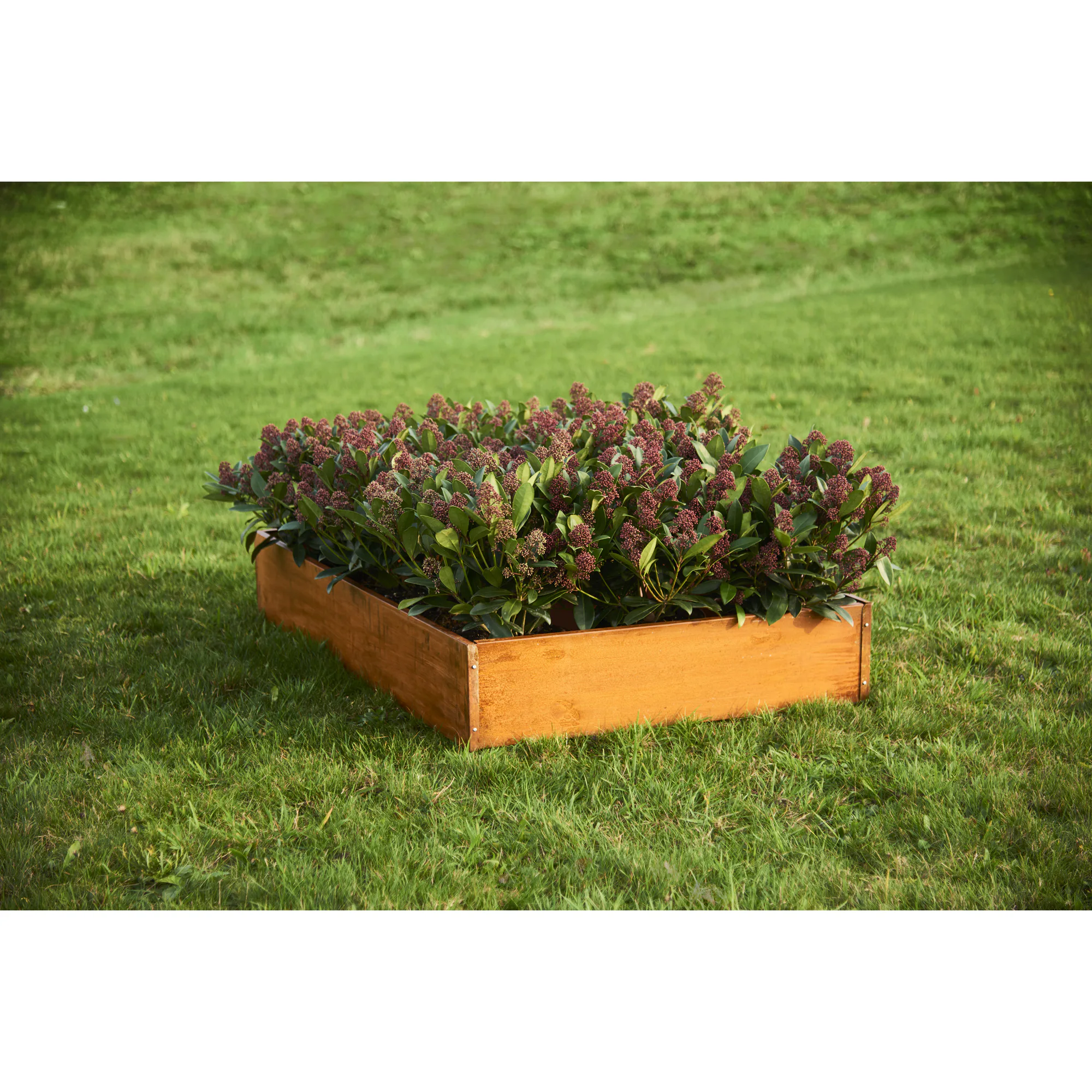 Odlingskrage Grouw Rostig 120X80X19 cm
